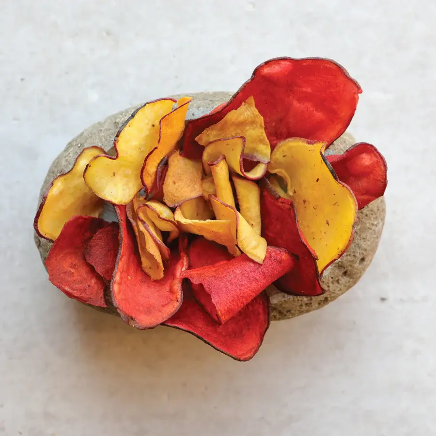 TikaChips-07_900x.webp